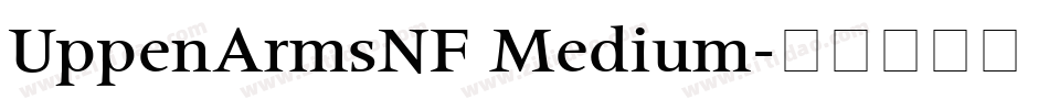 UppenArmsNF Medium字体转换